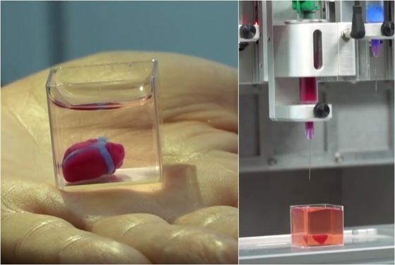 Prima inimă vascularizată, realizată cu o imprimantă 3D